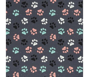 Canvas - Rinteln Pfoten anthrazit